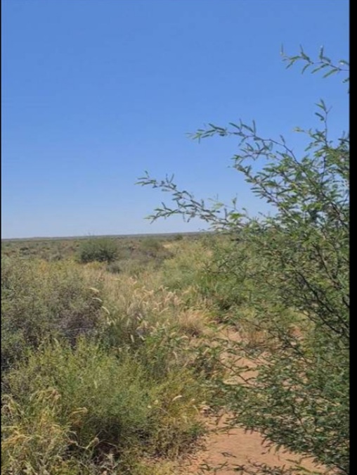Commercial Property for Sale in Brandvlei Northern Cape